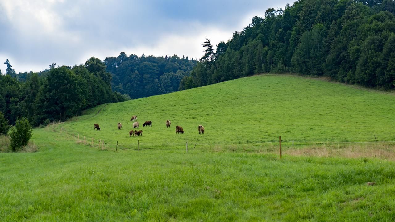 Фермерские дома Agroturystyka Natura Pilchowice-22